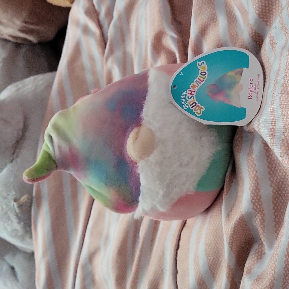 5" Rayford Squishmallow